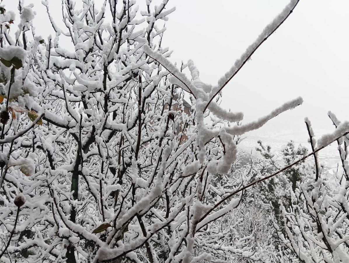 מנאלי Roop Mountain Homestay מראה חיצוני תמונה